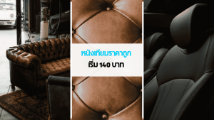 หนังเทียม PU สำหรับงานเฟอร์นิเจอร์