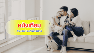 คำแนะนำการเลือกหนังเทียมหุ้มโซฟากันรอยขีดข่วน ปลอดภัยต่อสัตว์เลี้ยง Lim PVC Leather
